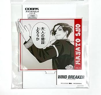Amazon.co.jp: WIND BREAKER アクリルスタンド 蘇枋隼飛